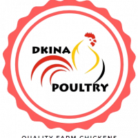 WhatsApp_Image_2020-07-04_at_19-removebg-preview WhatsApp_Image_2020-07-04_at_19-removebg-preview